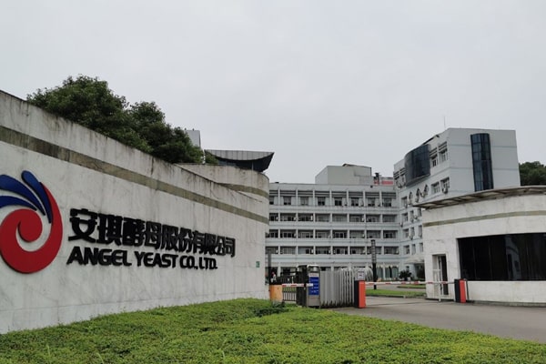 湖北安琪酵母股份有限公司采购雷竞技在线观看高智能土壤肥料养分检测仪