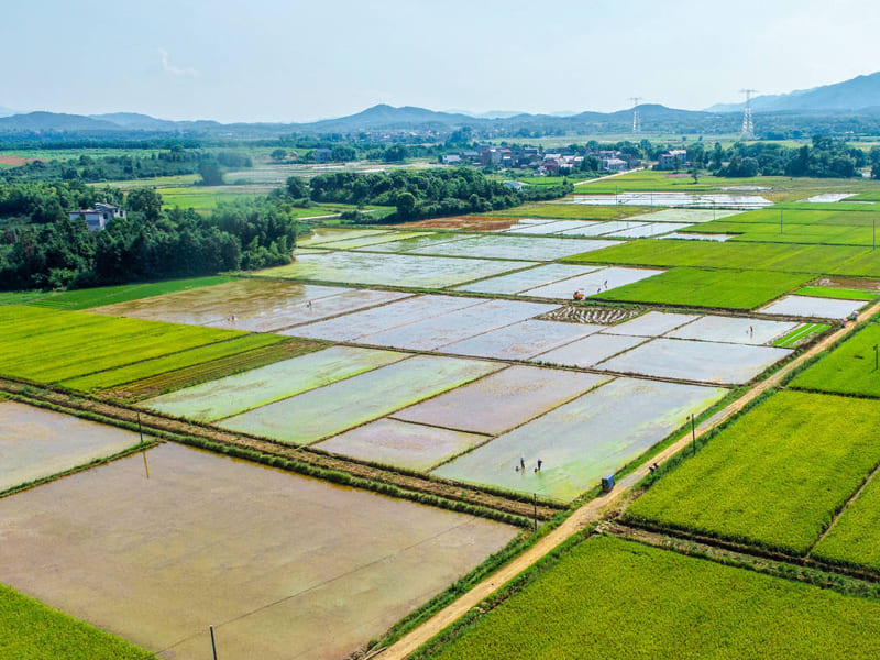 雷竞技在线观看科技助力高标准农田建设，推进农业现代化